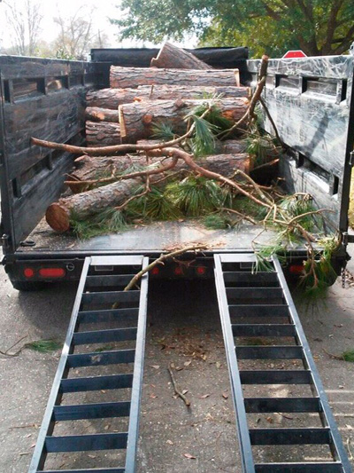 truck loaded with tree trunks